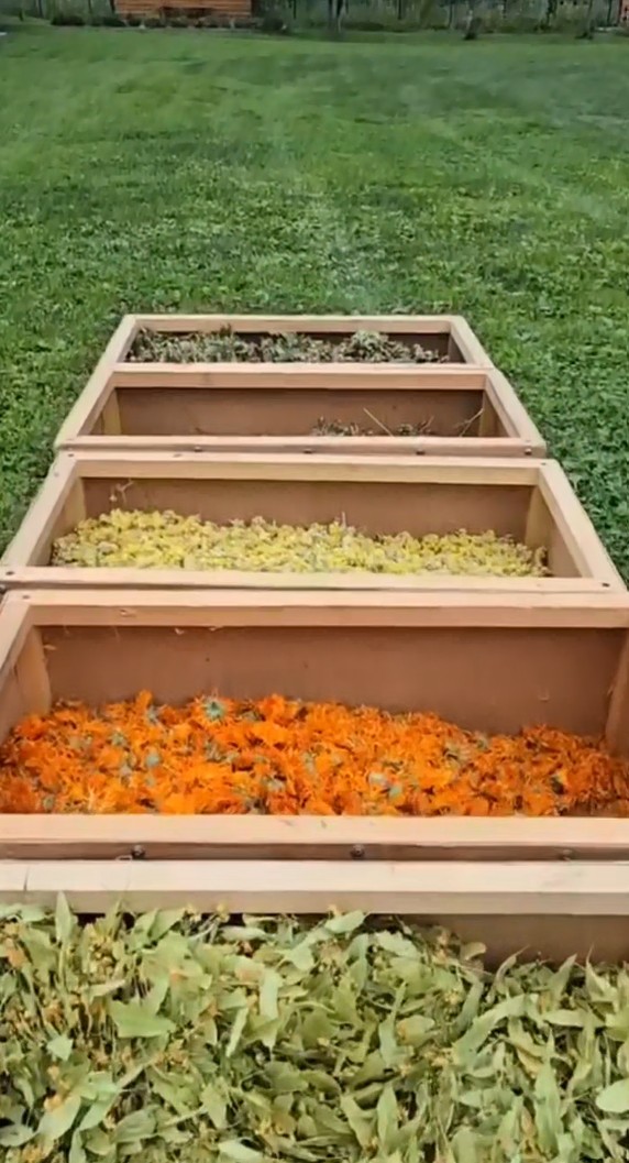 Відео про склад чаю